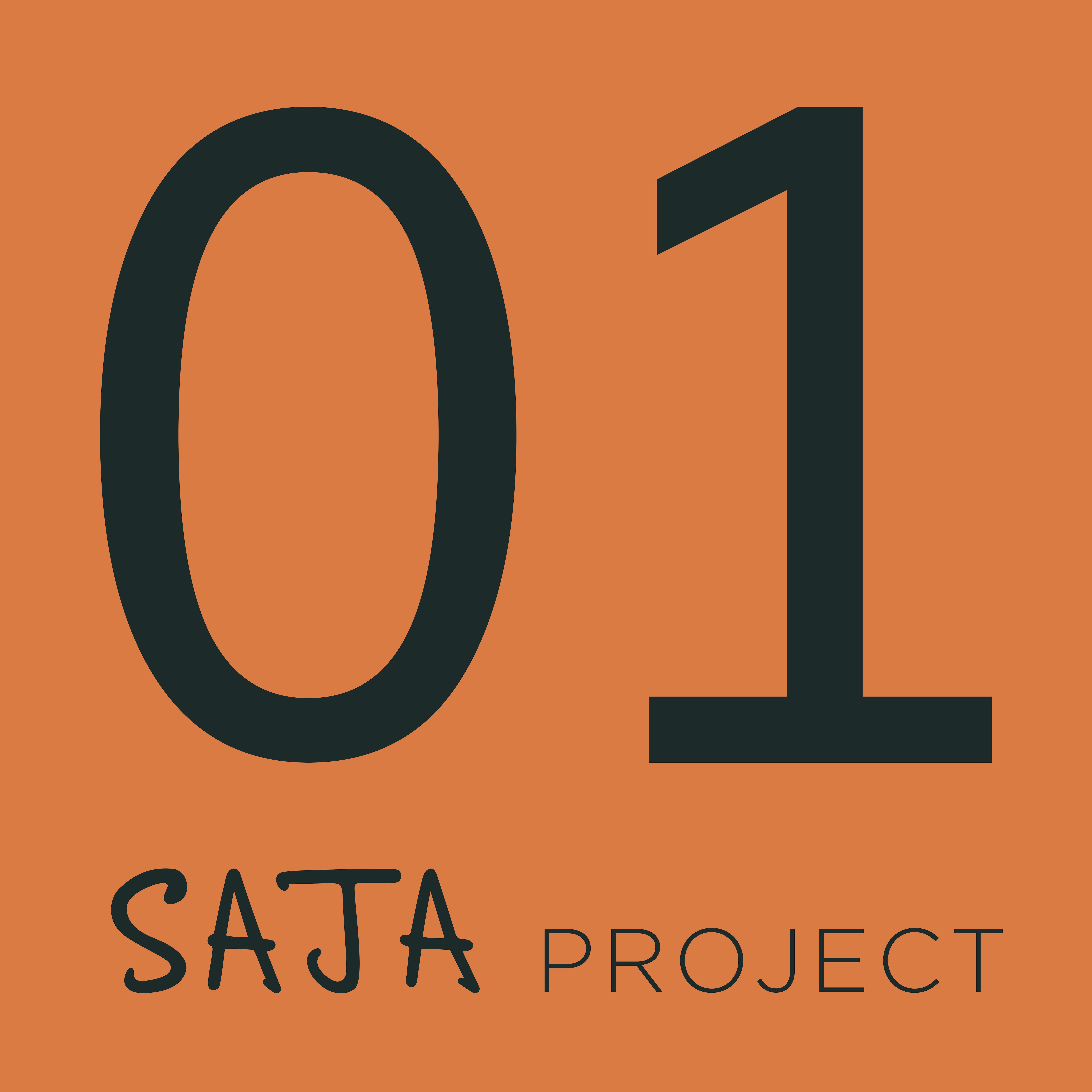 SAJA Project [01] album cover